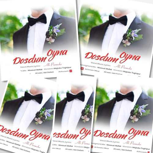 دانلود آهنگ دوستوم اوینا علی پرمهر